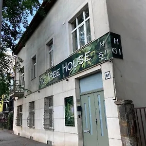Fig Tree House Homestay